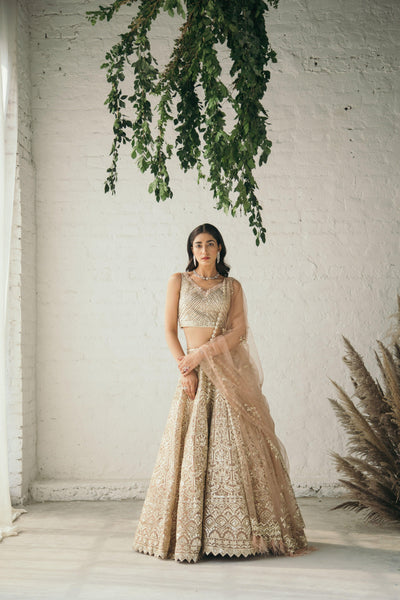 Jenna Lehenga