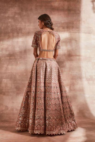 Starlight Lehenga